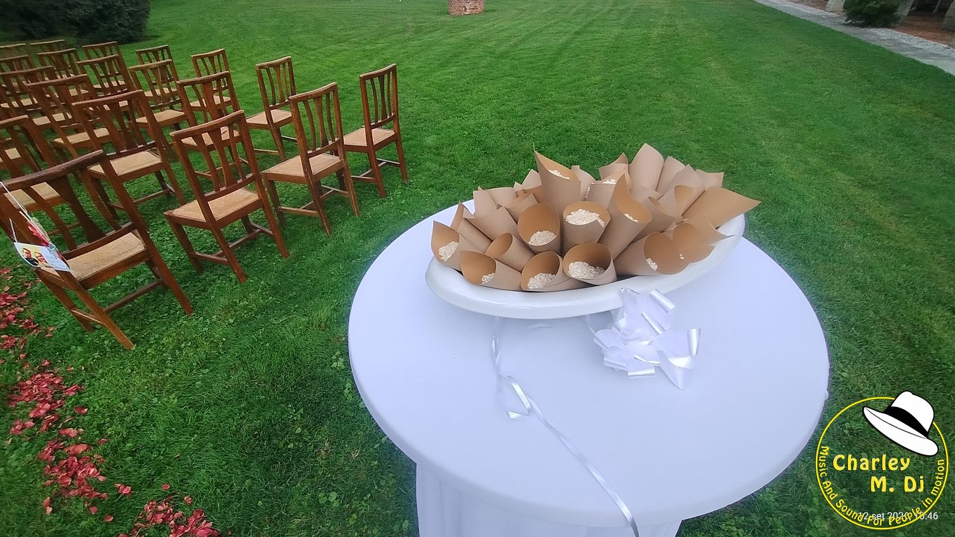 Matrimonio di Arianna e Erik a Villa Razzolini Loredan, foto 4