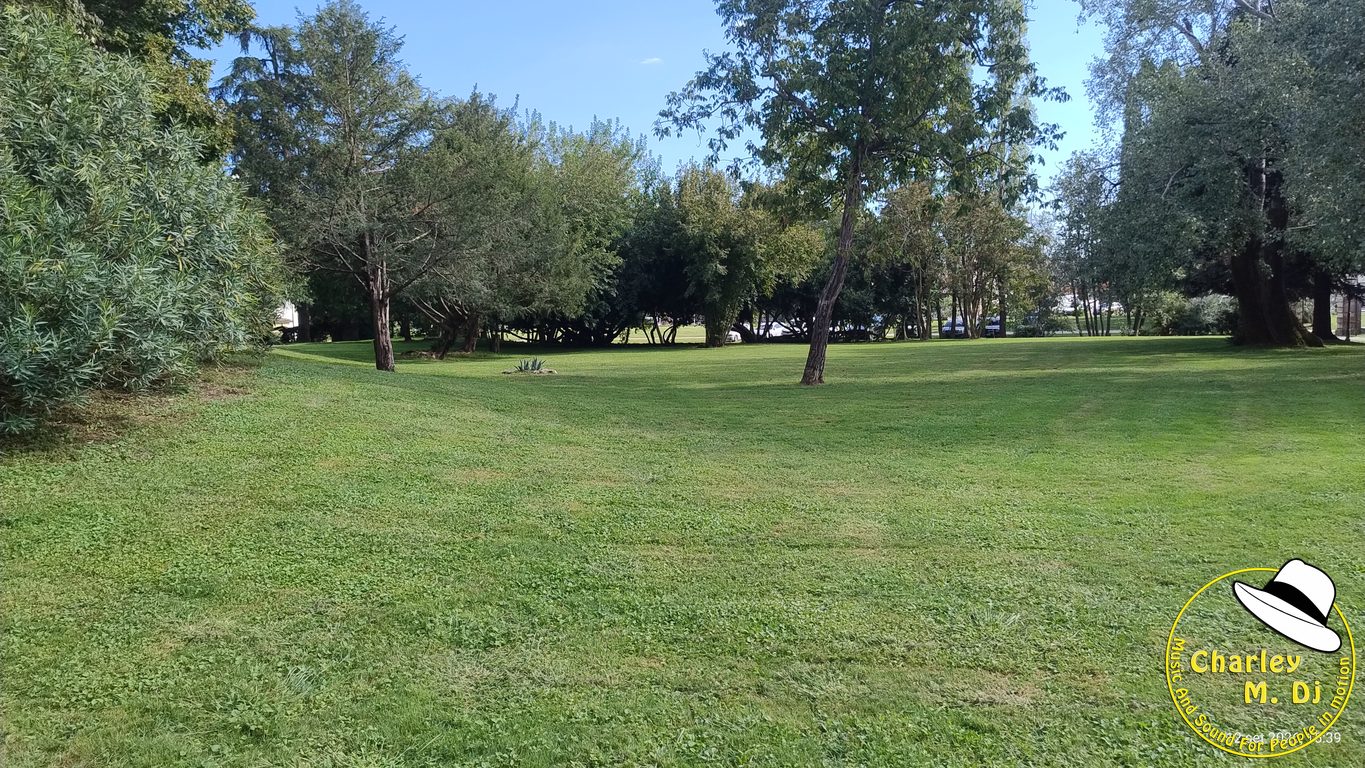Matrimonio di Arianna e Erik a Villa Razzolini Loredan, foto 18