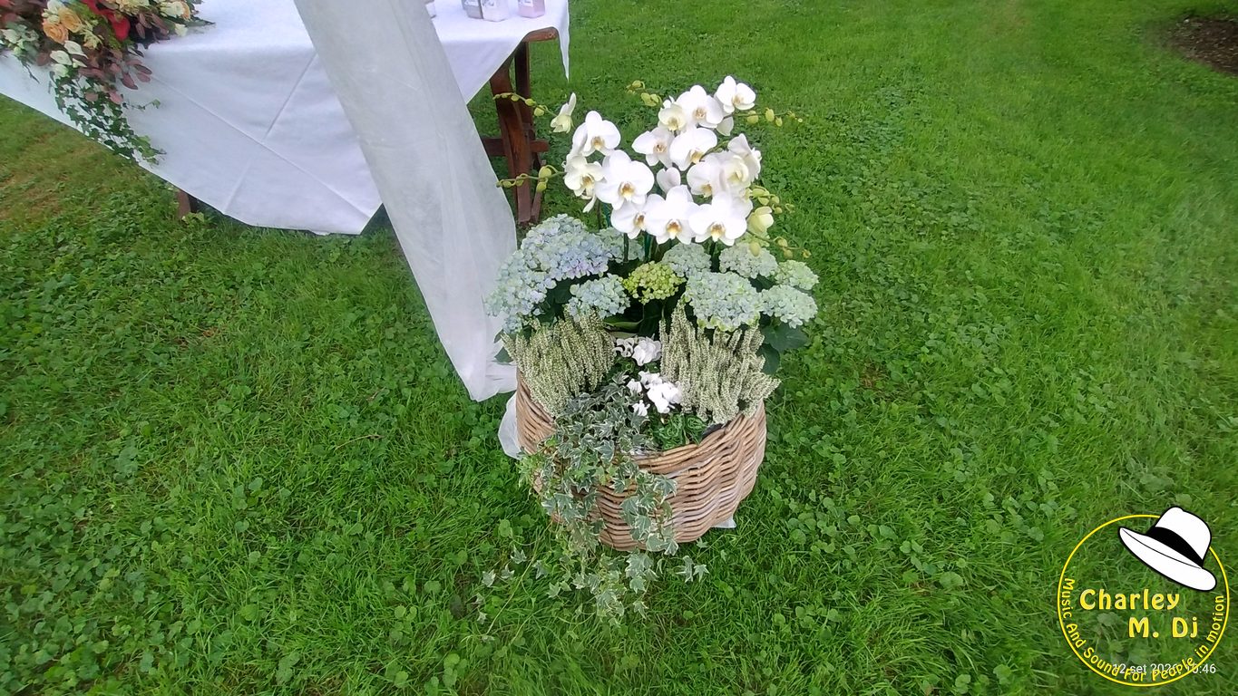Matrimonio di Arianna e Erik a Villa Razzolini Loredan, foto 26